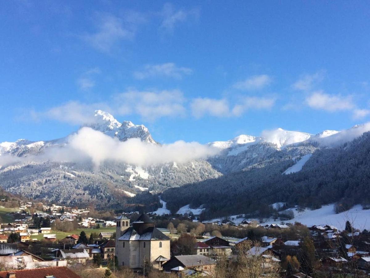 Le 67,Ski Et Randonnee,Lave Linge,Seche Linge,Parking Bernex Exterior foto