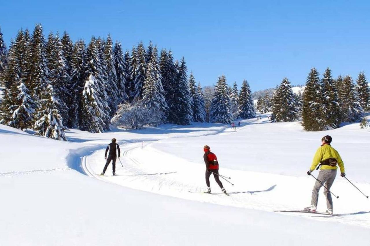 Le 67,Ski Et Randonnee,Lave Linge,Seche Linge,Parking Bernex Exterior foto