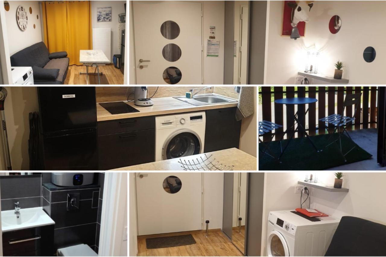 Le 67,Ski Et Randonnee,Lave Linge,Seche Linge,Parking Bernex Exterior foto