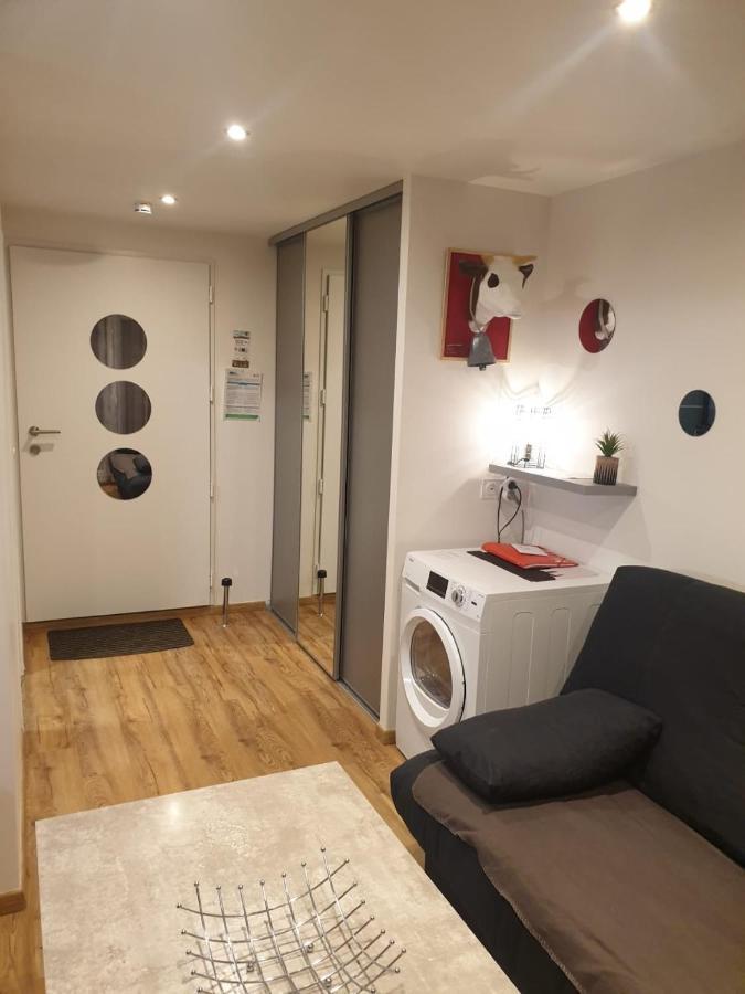 Le 67,Ski Et Randonnee,Lave Linge,Seche Linge,Parking Bernex Exterior foto