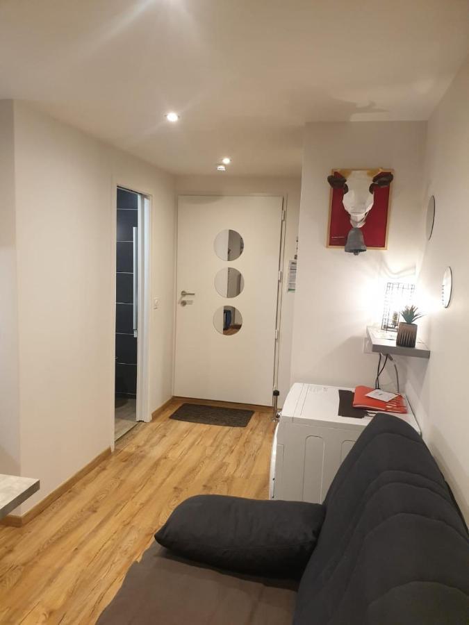 Le 67,Ski Et Randonnee,Lave Linge,Seche Linge,Parking Bernex Exterior foto